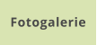 Fotogalerie