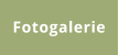 Fotogalerie